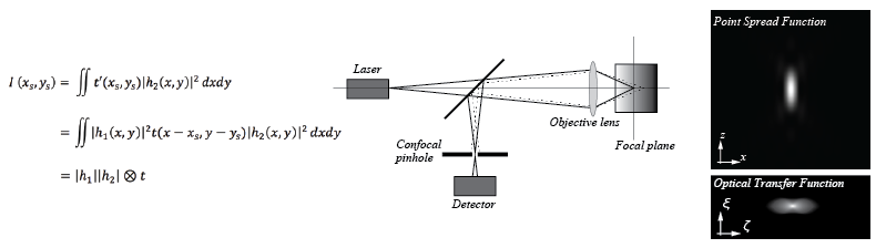 "Theory of Scanning Laser Miscroscopy"